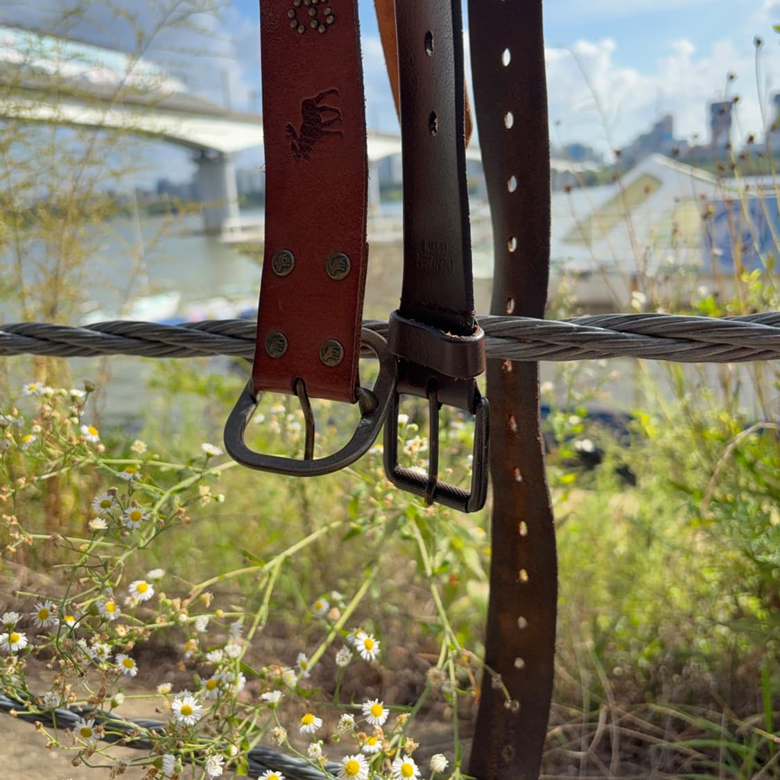 Denizen by Levi’s Leather Belt 상품이미지2