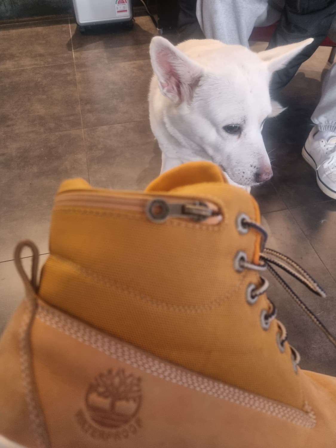 팀버랜드 래드포드 엘로우부츠 상품이미지8