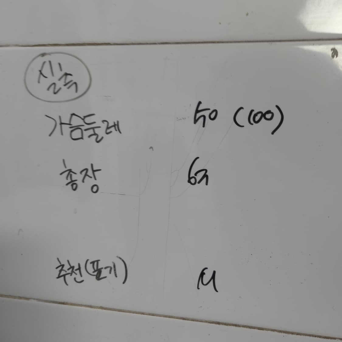 NBA 맨투맨 티셔츠 회색 M 상품이미지6