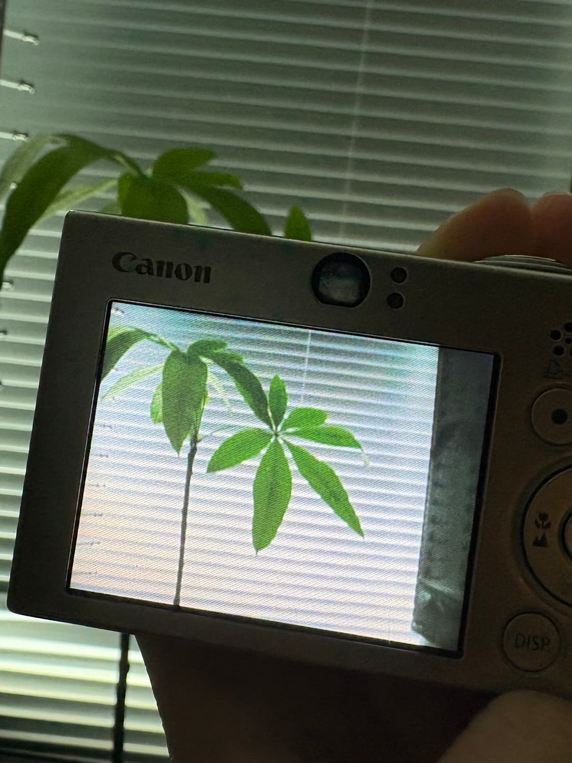 캐논 익서스70 상품이미지3