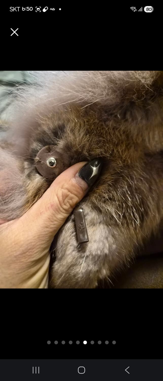 진도
Clever  상품이미지6