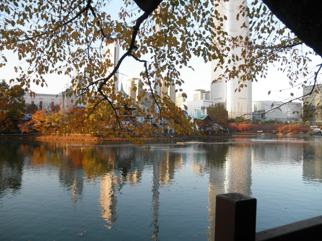 올림푸스 뮤 7050 (작례O)  상품이미지8