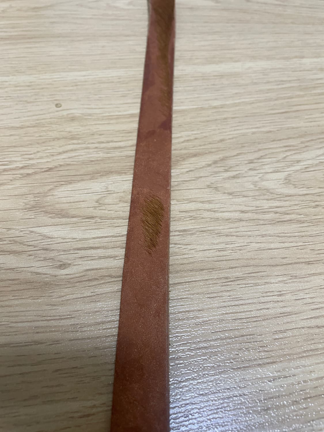 아워레가시 2cm 송치 벨트 상품이미지4