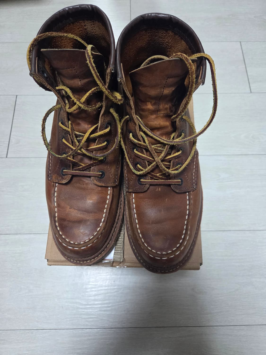 레드윙 목토 1907 D 8.5 사이즈 상품이미지1