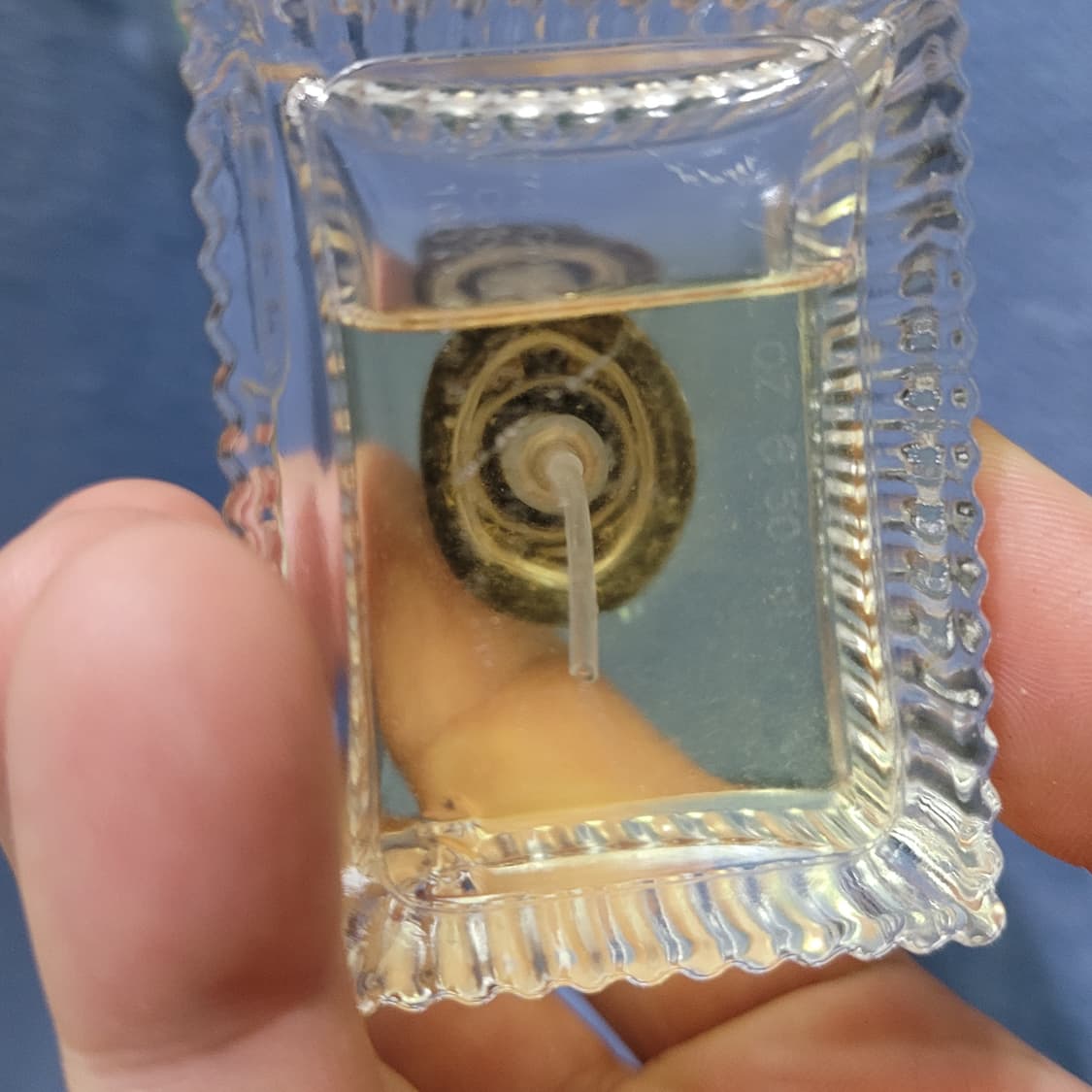 끌로에 그린 EDT 50ml 향수 (25) 상품이미지10