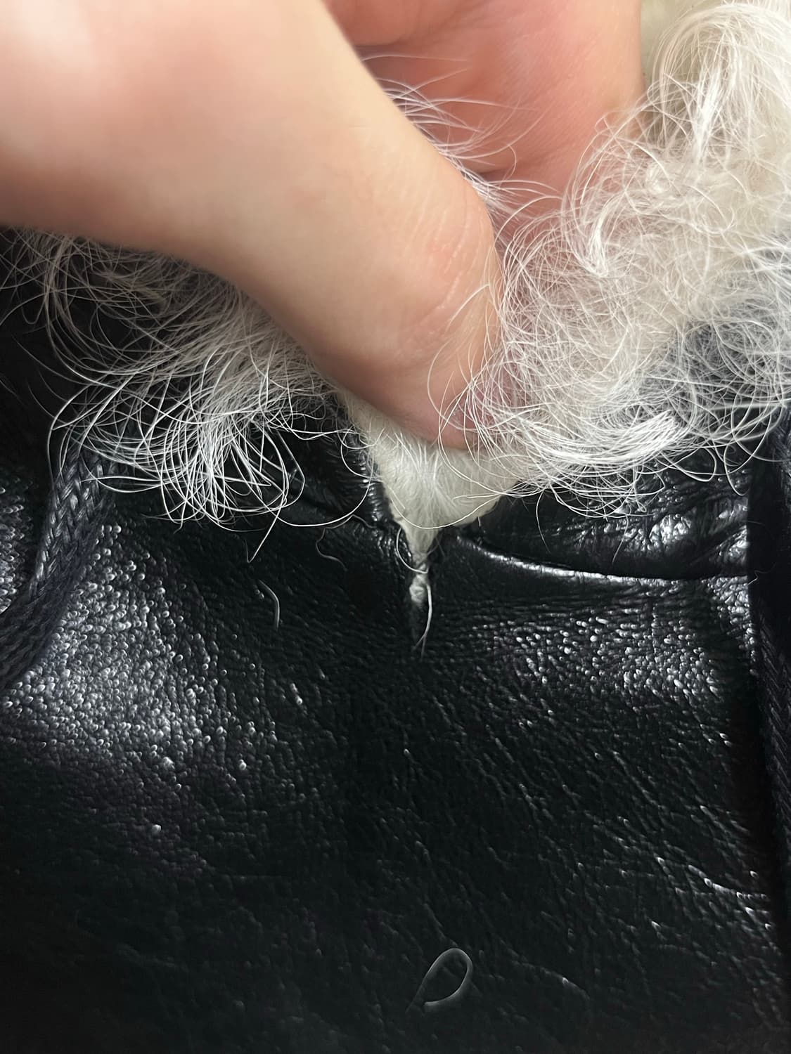 예약됨 상품이미지9