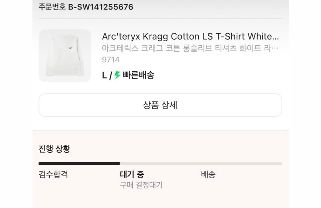 아크테릭스 롱슬리브(KREAM) 상품이미지2