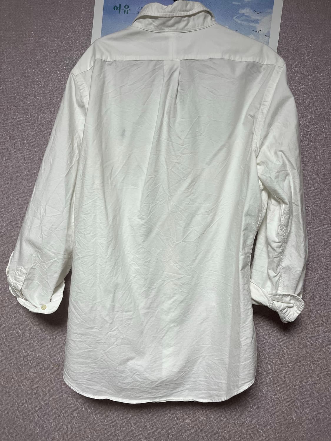 폴로 옥스포드 셔츠 클래식핏 L사이즈 상품이미지2