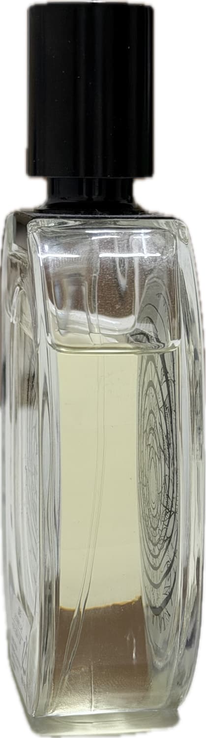 딥티크 오데썽 100ml 상품이미지2