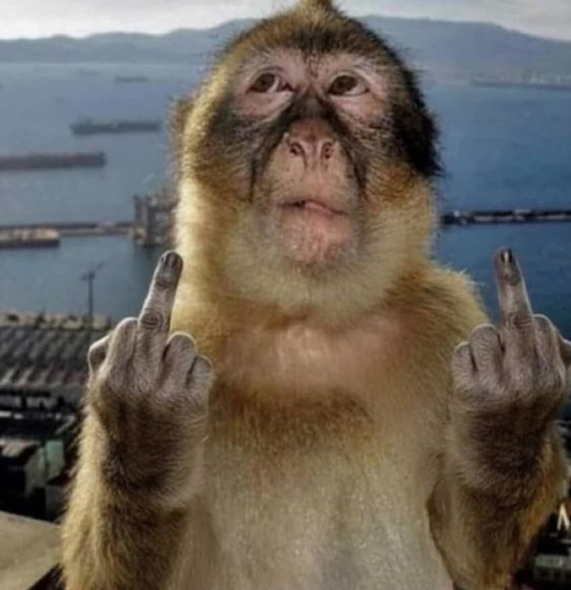 조현진 팝니다. 상품이미지1