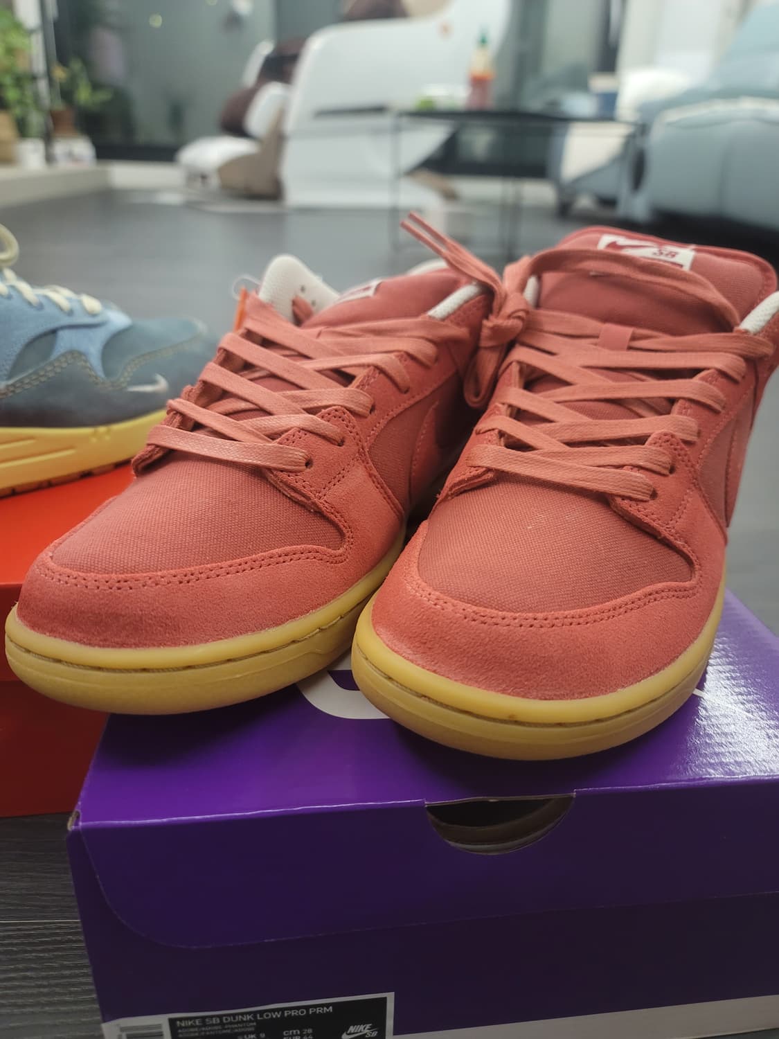 새상품 나이키 덩크로우 프로  프리미엄 280 상품이미지3