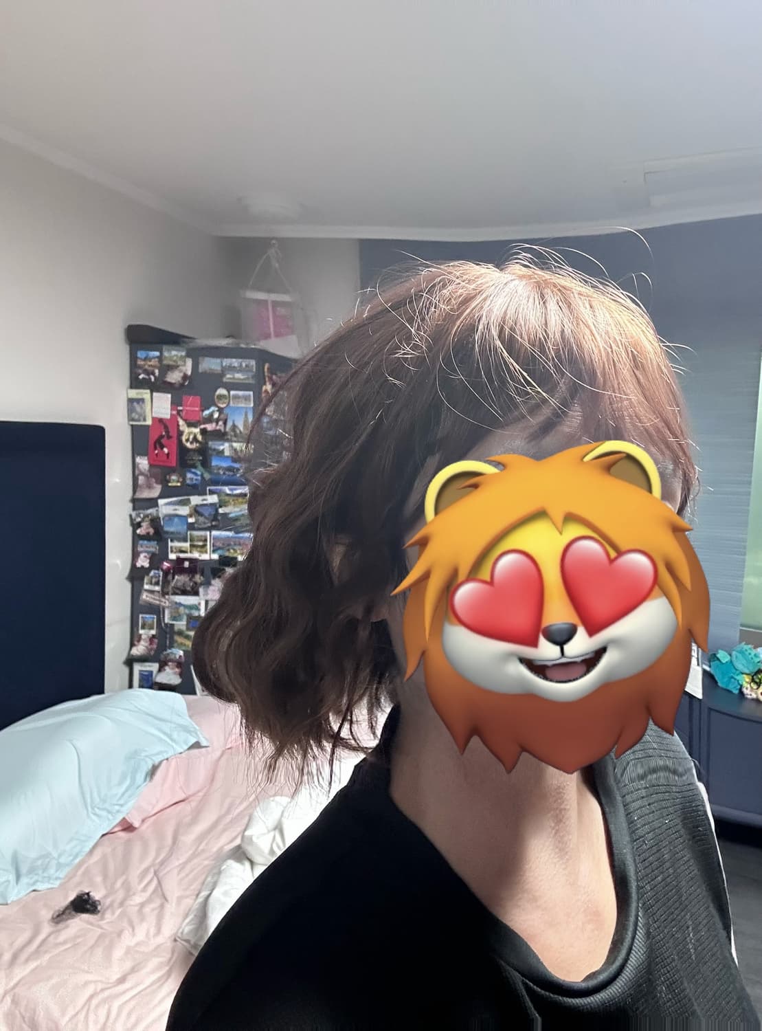 가발나라 통가발 허쉬브라운 S사이즈+가발전용 제품들 상품이미지3