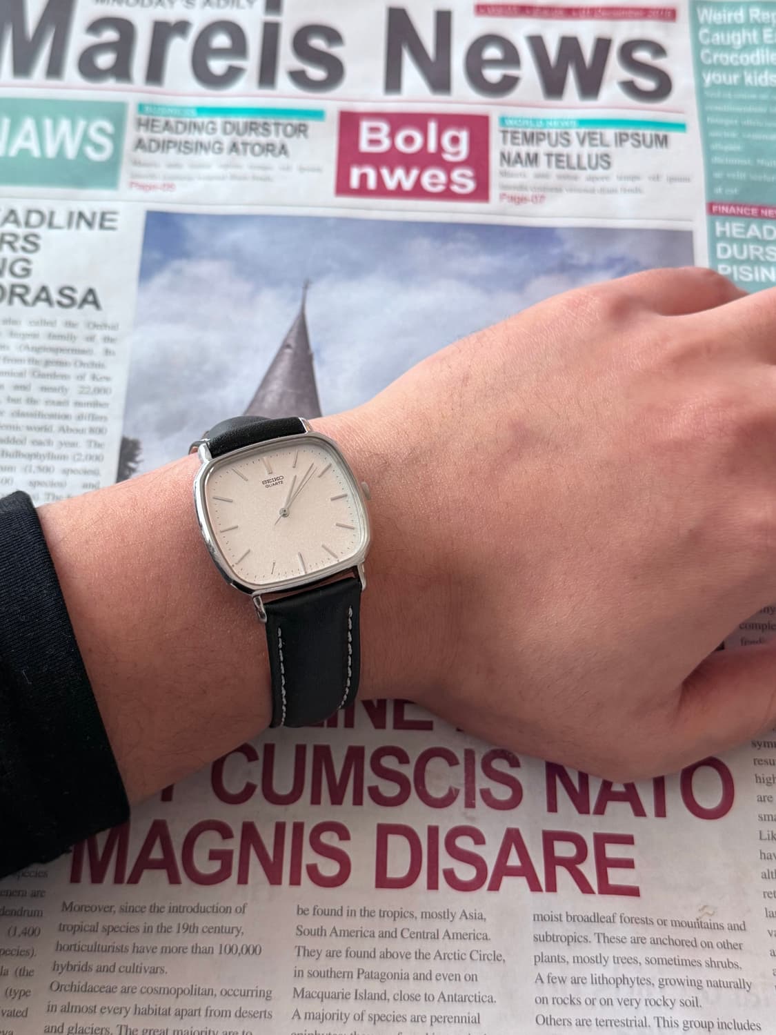 세이코 Seiko 쿼츠 스노우 스퀘어 상품이미지4