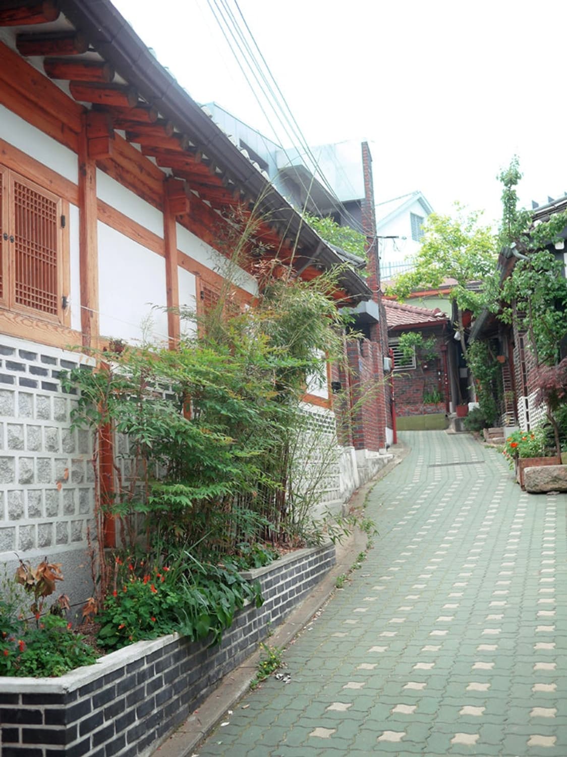 Panasonic lumix gf5 디지털 카메라 작례O 상품이미지10