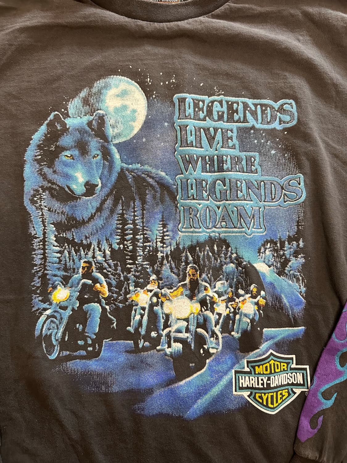 90s 할리데이비슨 'Wolf & Legends' 플레임 롱슬리브 상품이미지2