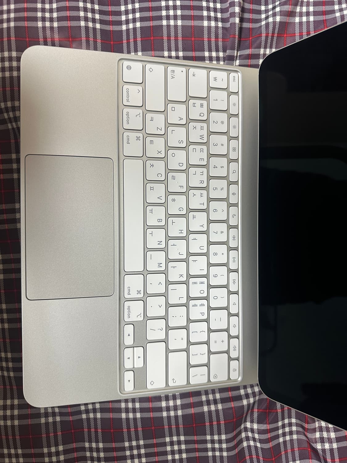 아이패드 프로 13인치 M4 1TB 셀룰러 풀세트 상품이미지5