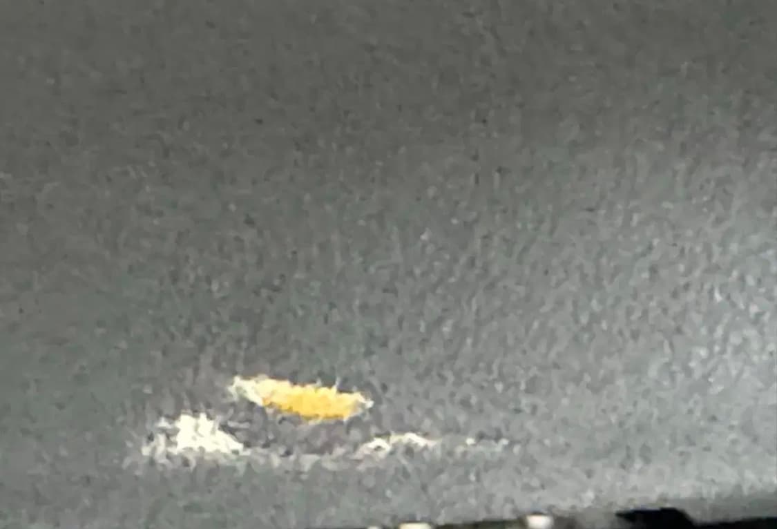 퀄리 스포츠 볼트 B 자토바이 상품이미지4