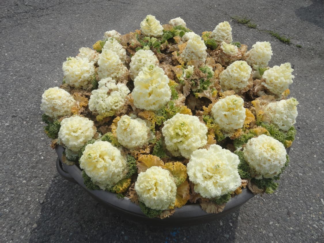 소니 사이버샷 dsc-h70 팔아요 상품이미지5