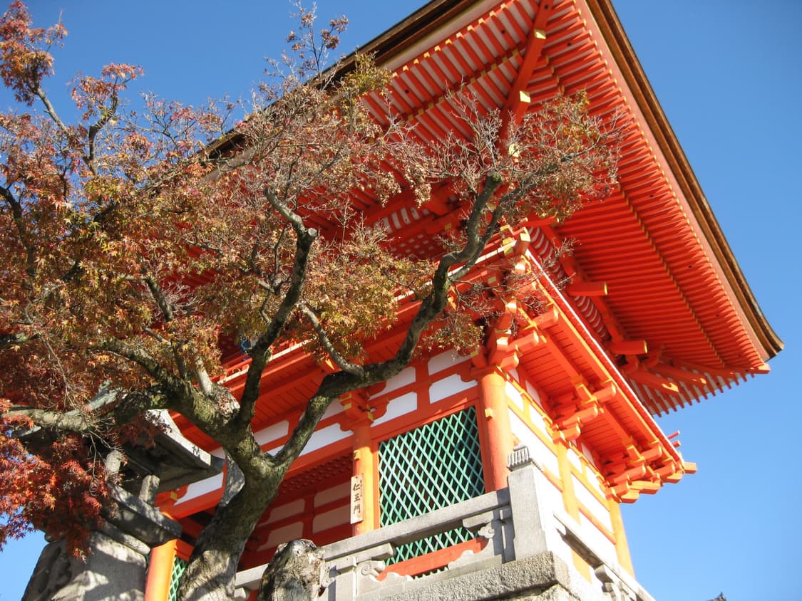 캐논 파워샷 E1 Canon PowerShot E1 핑크 상품이미지2