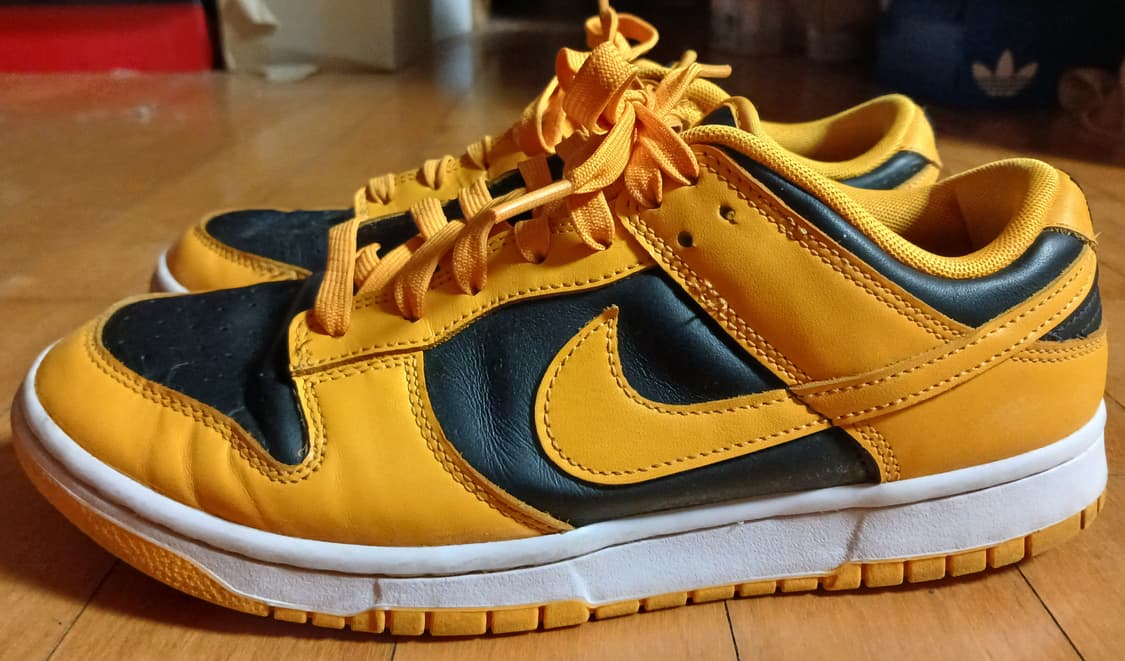 나이키 덩크로우 골드로드 270 상품이미지1