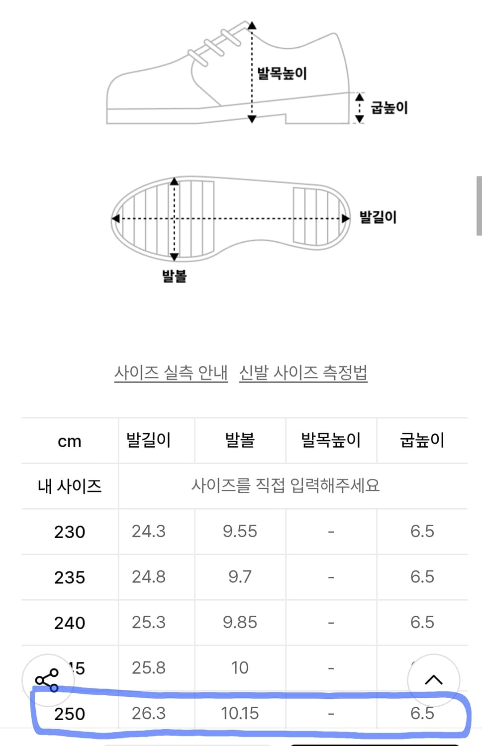 250)트리밍버드 샌들 Bold Buckle Flatform Slides 상품이미지2
