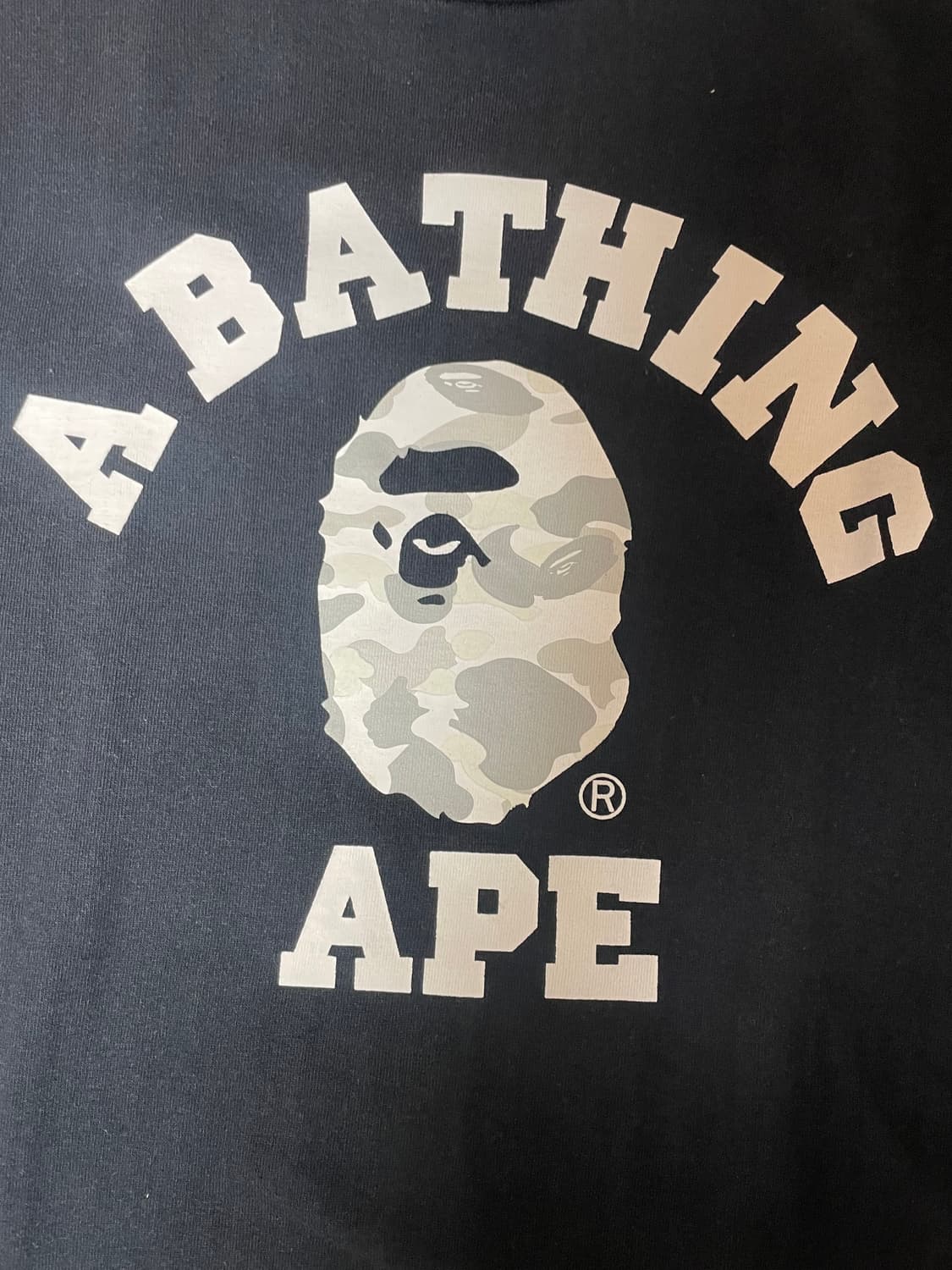 BAPE 베이프 팜트리 카모 반팔티 M 상품이미지2