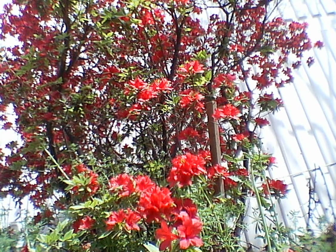 파나소닉 디스냅sv-av20 캠코더디카 상품이미지7