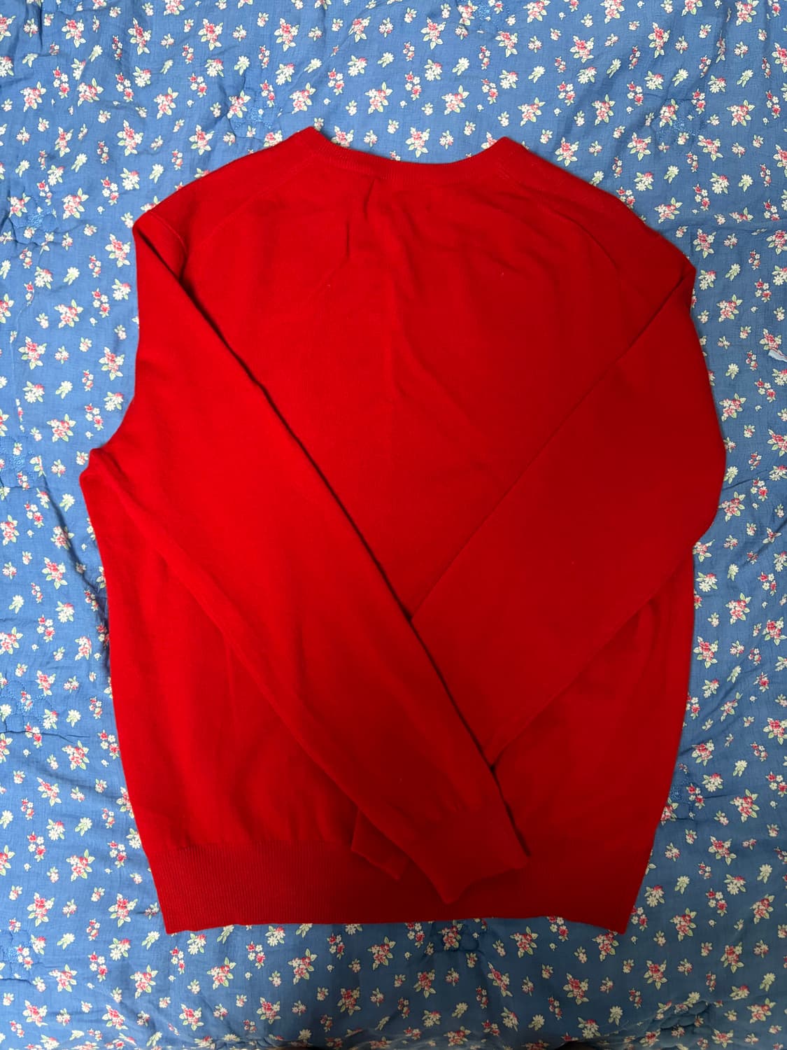 폴로 브이넥 니트 레드  상품이미지2