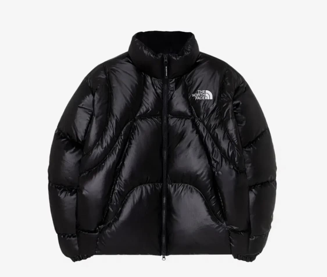 노스페이스 화이트라벨 웨이브 rds 다운 패딩 s구합니다 상품이미지1