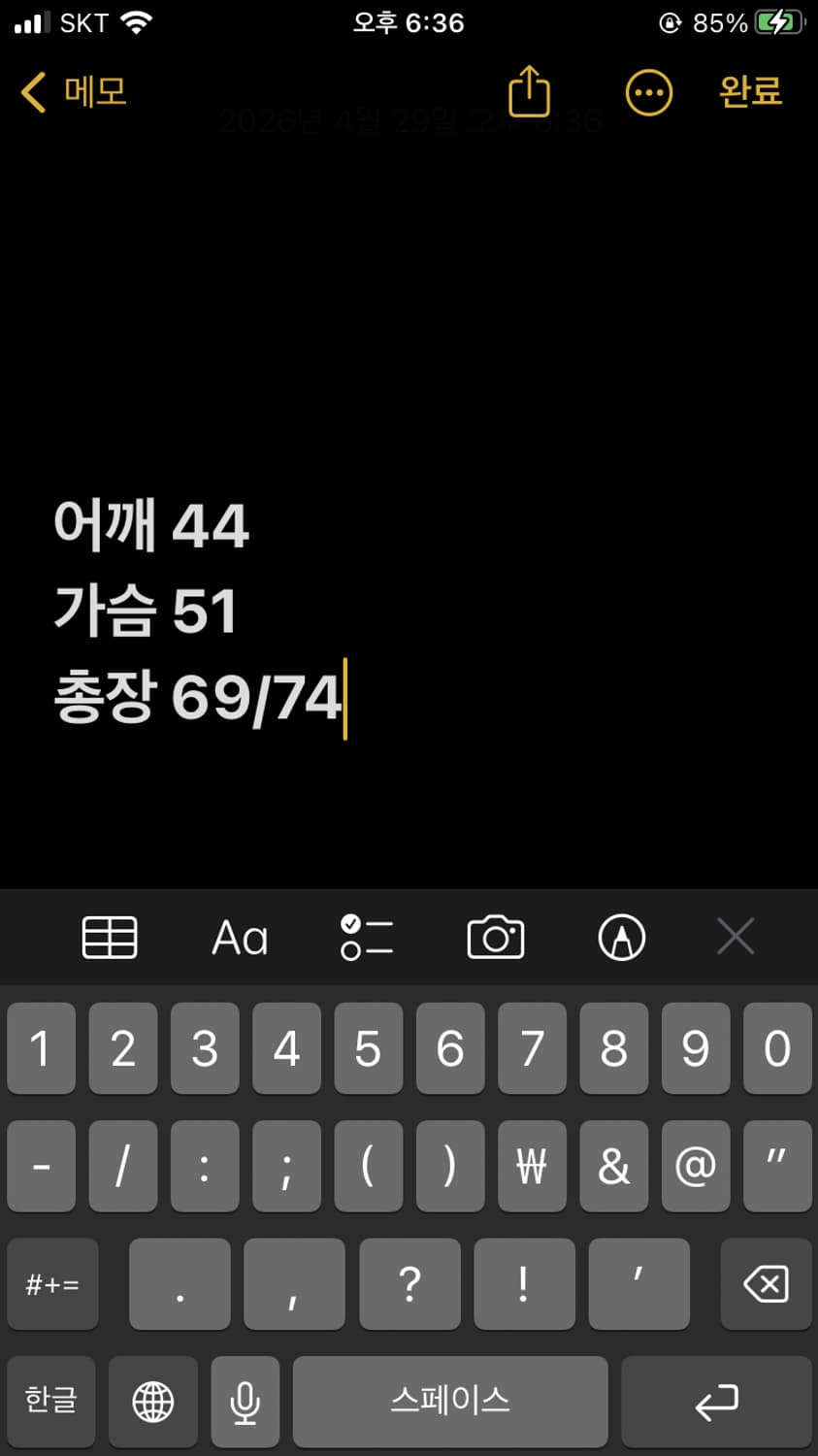 폴로랄프로렌 빅포니 반팔 상품이미지6
