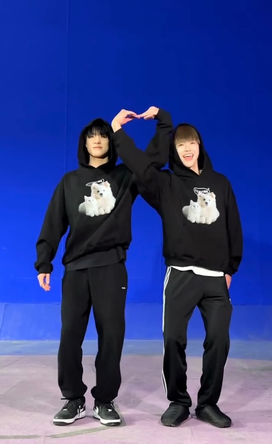 잇자바이브 CAT&DOG FRIENDS HOODIE 상품이미지4