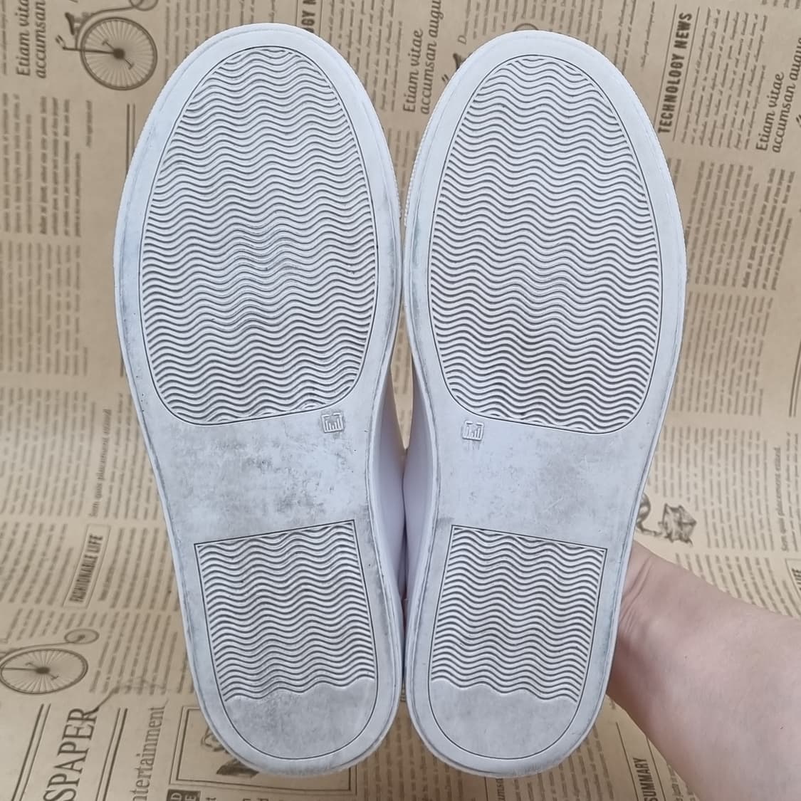 돌체앤가바나 꿀벌 레더 여성스니커즈230 상품이미지3