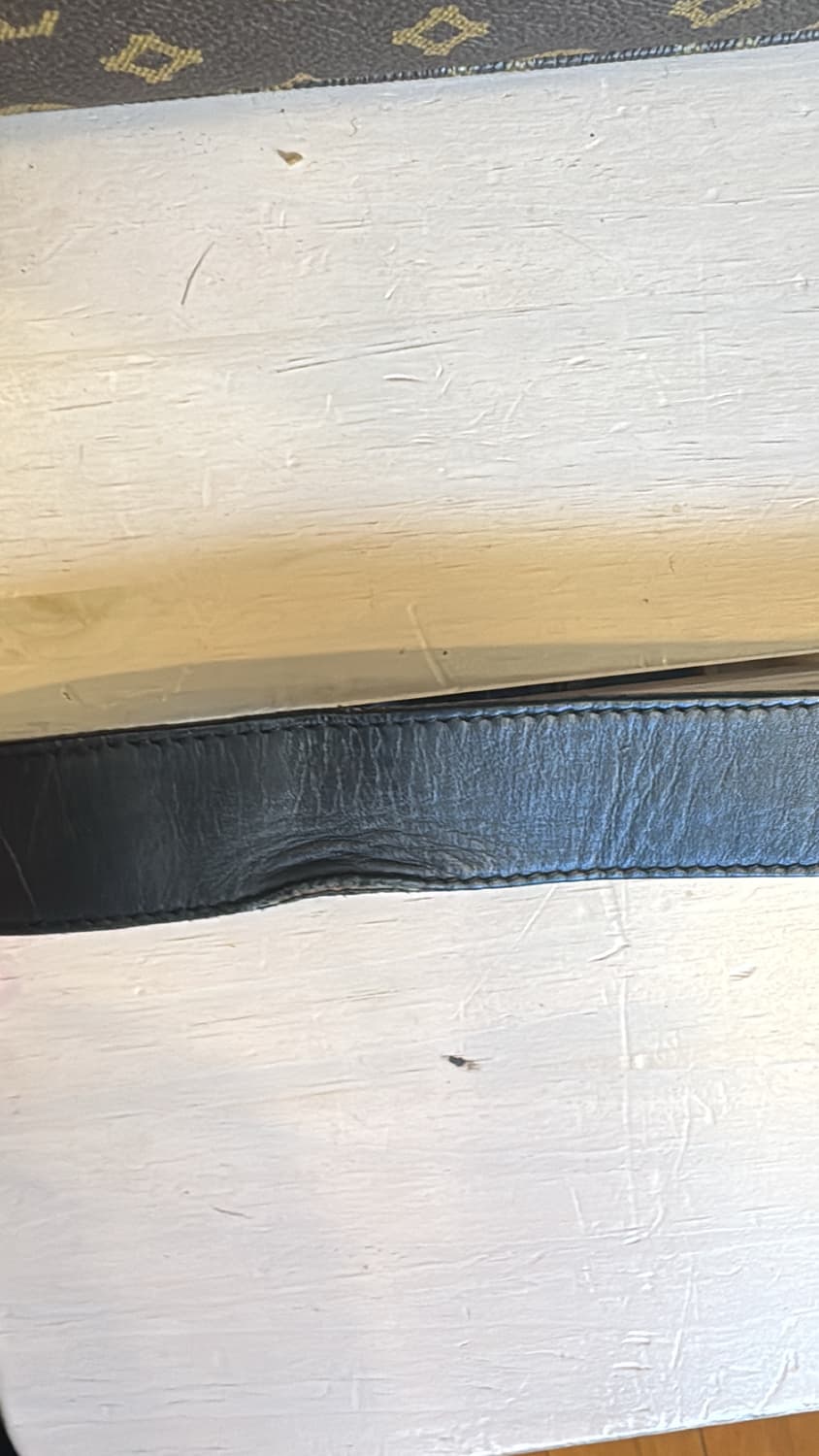 구찌 마몬트 gg벨트 상품이미지3