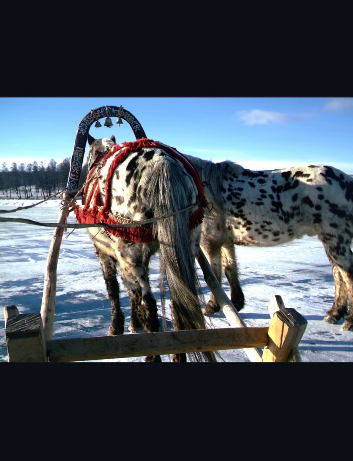 비비타 비비캠 3785 디지털카메라 상품이미지8