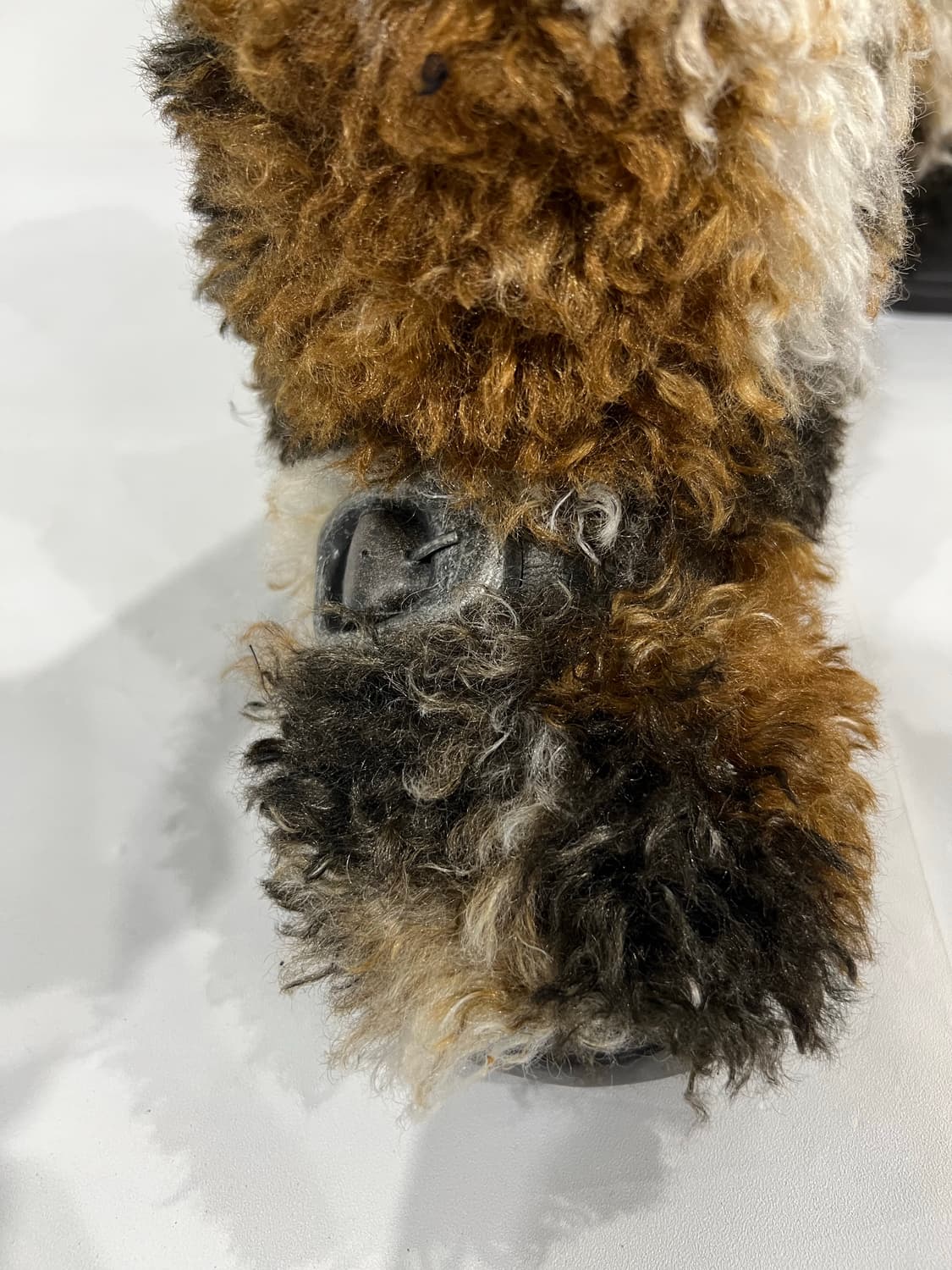 YELLO BANDIT LONG BOOTS M사이즈 새상품 상품이미지5