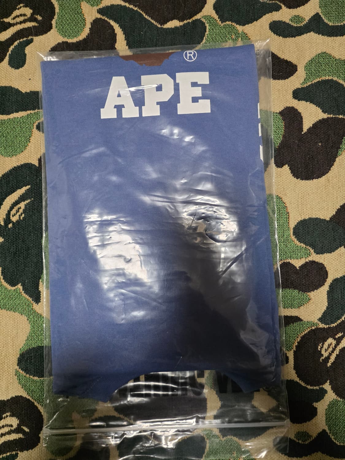 [L] 베이프 블루 컬리지 반팔티 상품이미지3