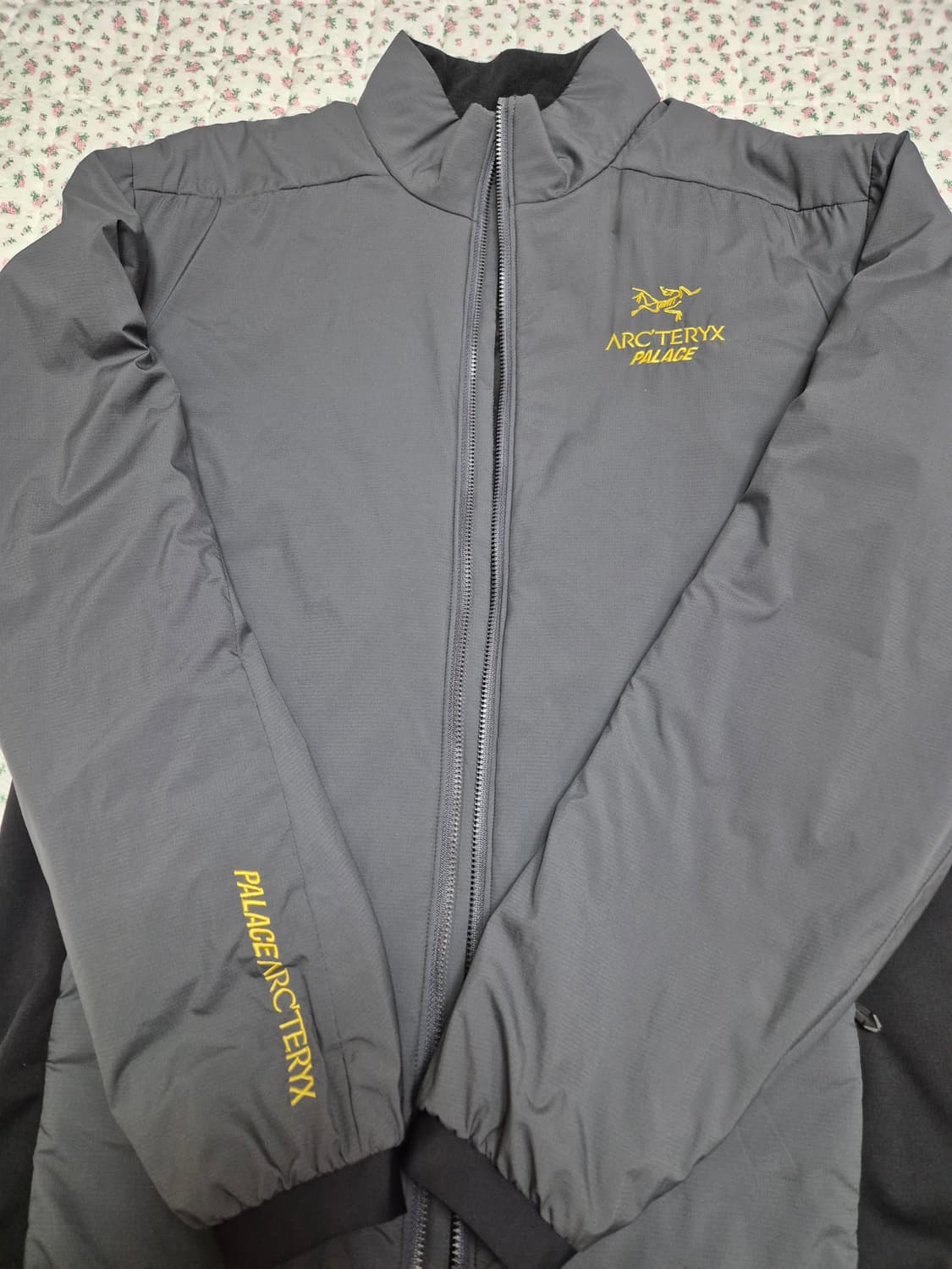 M) 아크테릭스 팔라스 아톰 Lt 자켓 상품이미지2