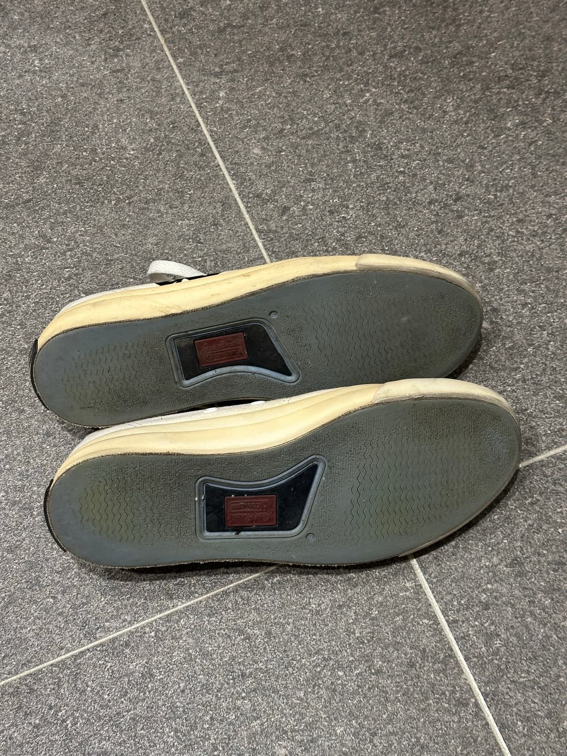 네넷 잭퍼셀 컨버스 상품이미지3