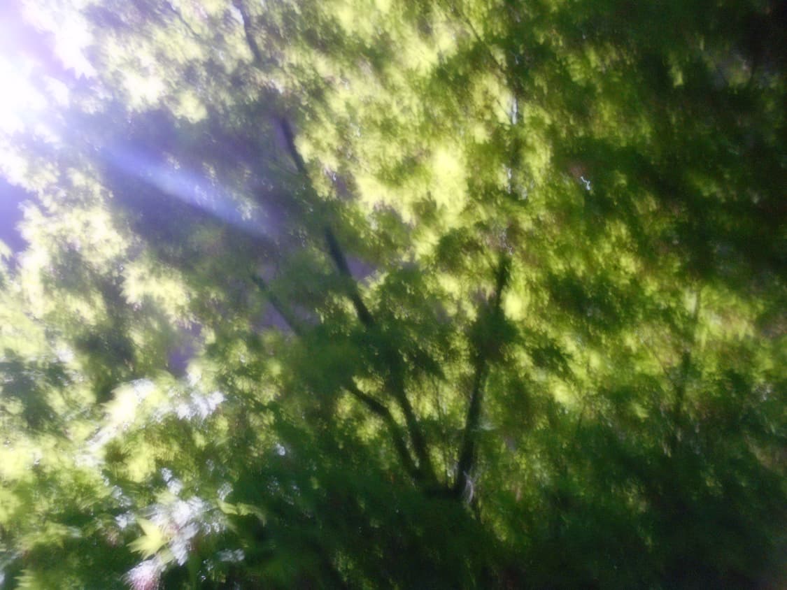 소프트포커스, 윤슬) Nikon coolpix a100 상품이미지7