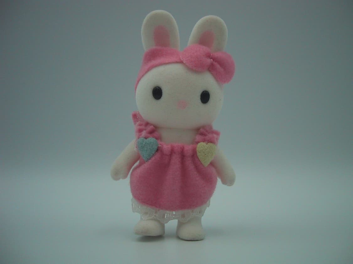 Canon Digital IXUS(캐논 익서스 pc1001) 상품이미지9