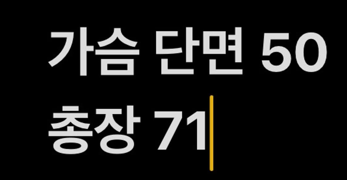 [ 정품/5 ] 파리게이츠 골프 조끼 b14 상품이미지7