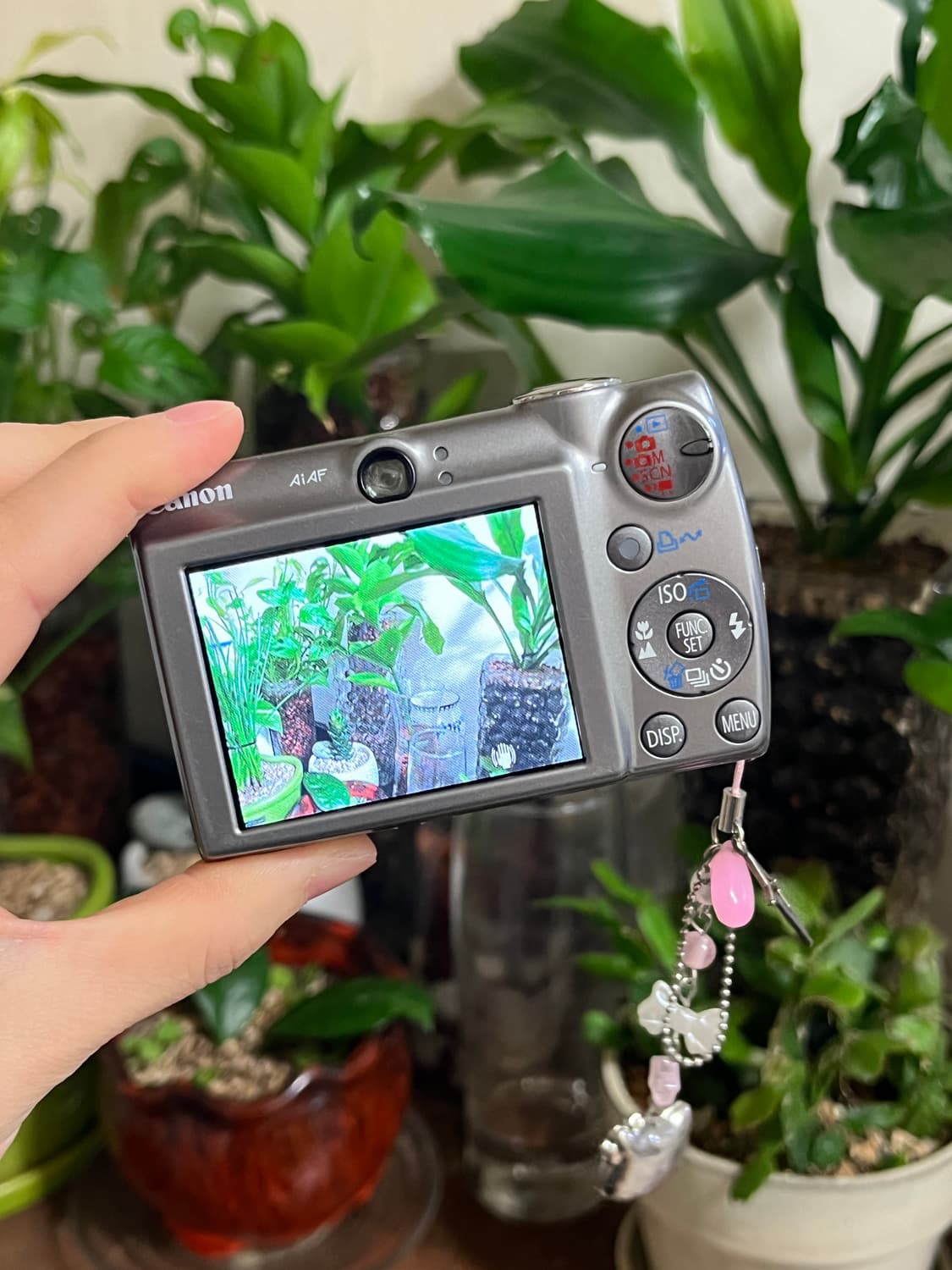 캐논 익서스850is, sd800is, ixy900is 상품이미지6