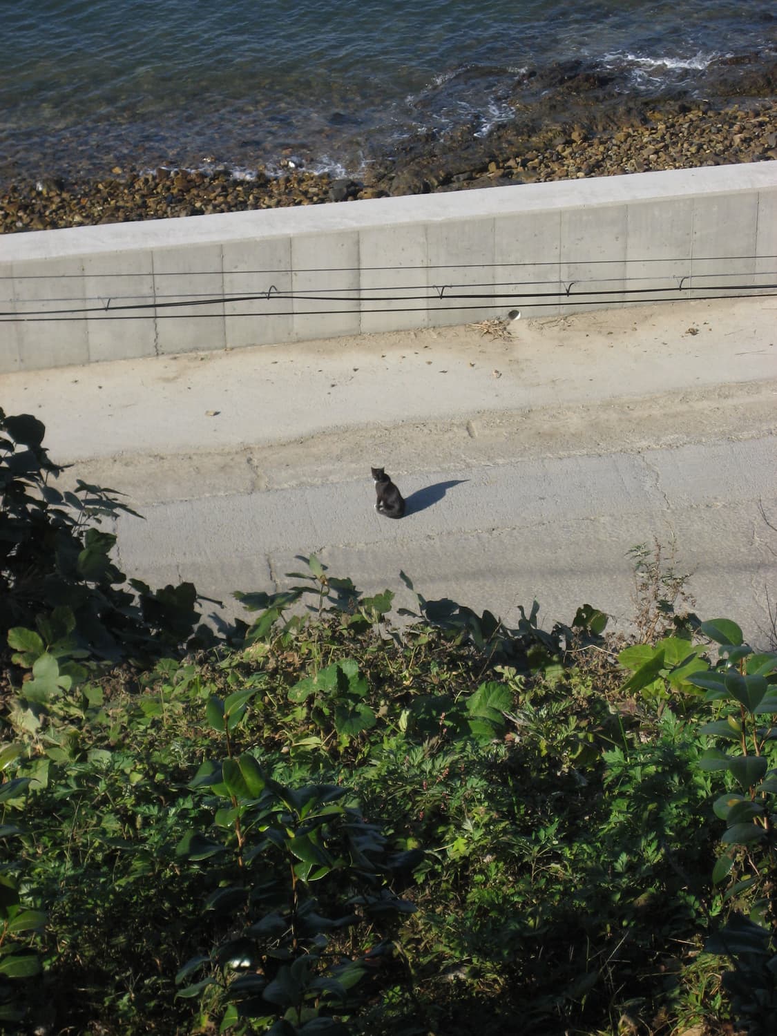 캐논 익서스65 IXUS65 빈티지 디카 판매❤️(작례있어요!) 상품이미지7