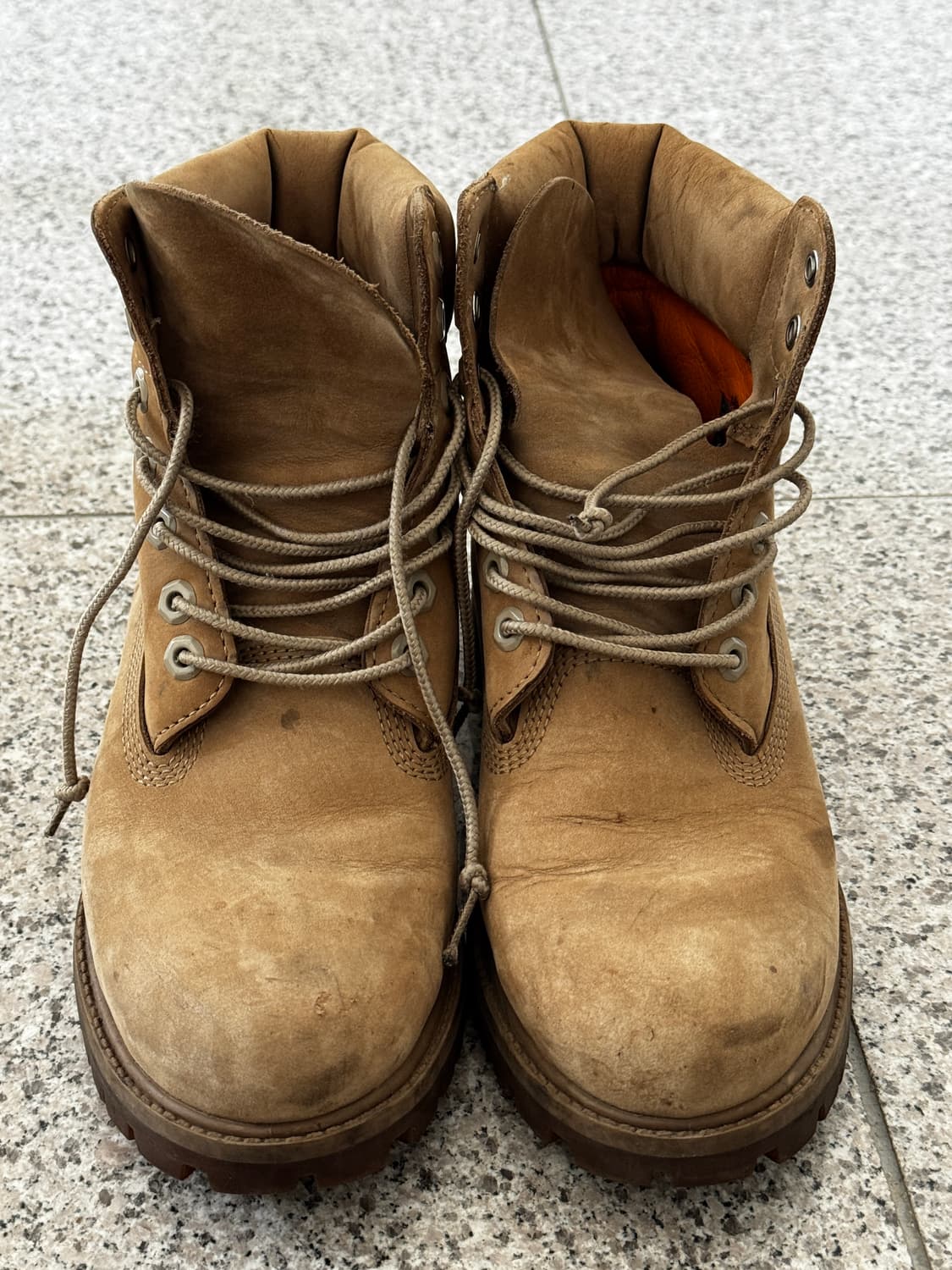 [250] 팀버랜드 6인치 탄 모노 베이지 상품이미지8