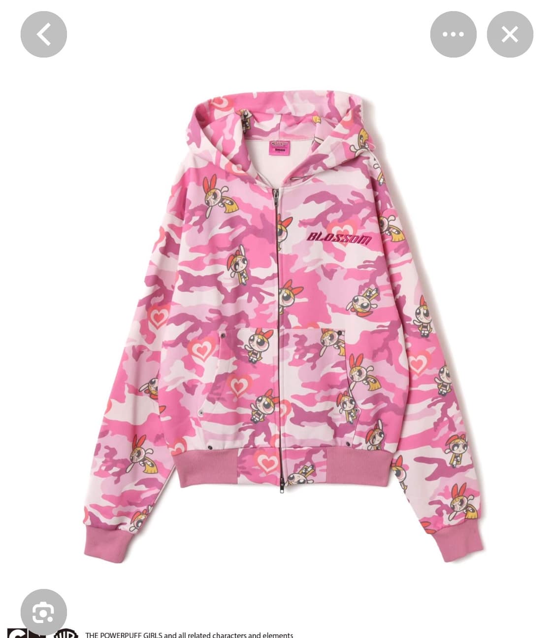 atmos powerpuff girls hoodie 상품이미지1