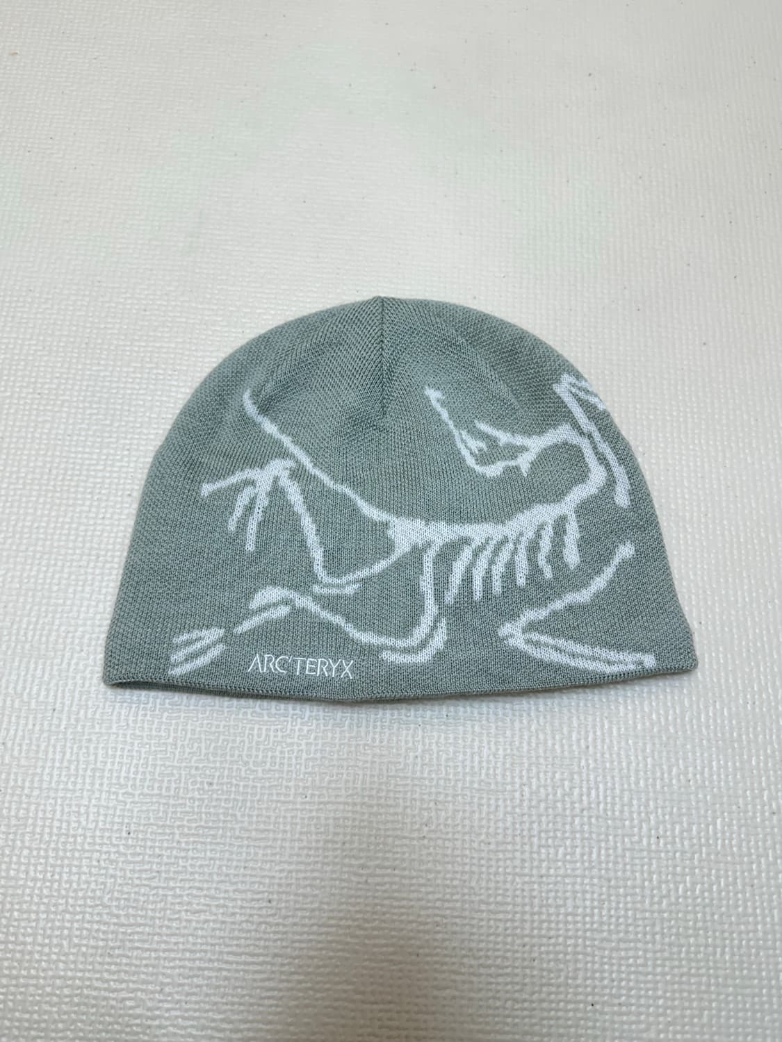 아크테릭스 버드 헤드 토크 해비타트 상품이미지2