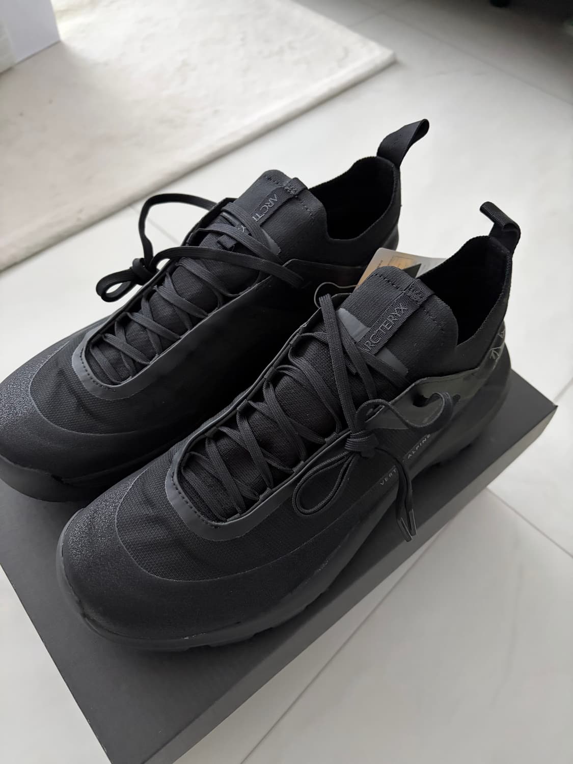 아크테릭스 버텍스 알파인 gtx  상품이미지1