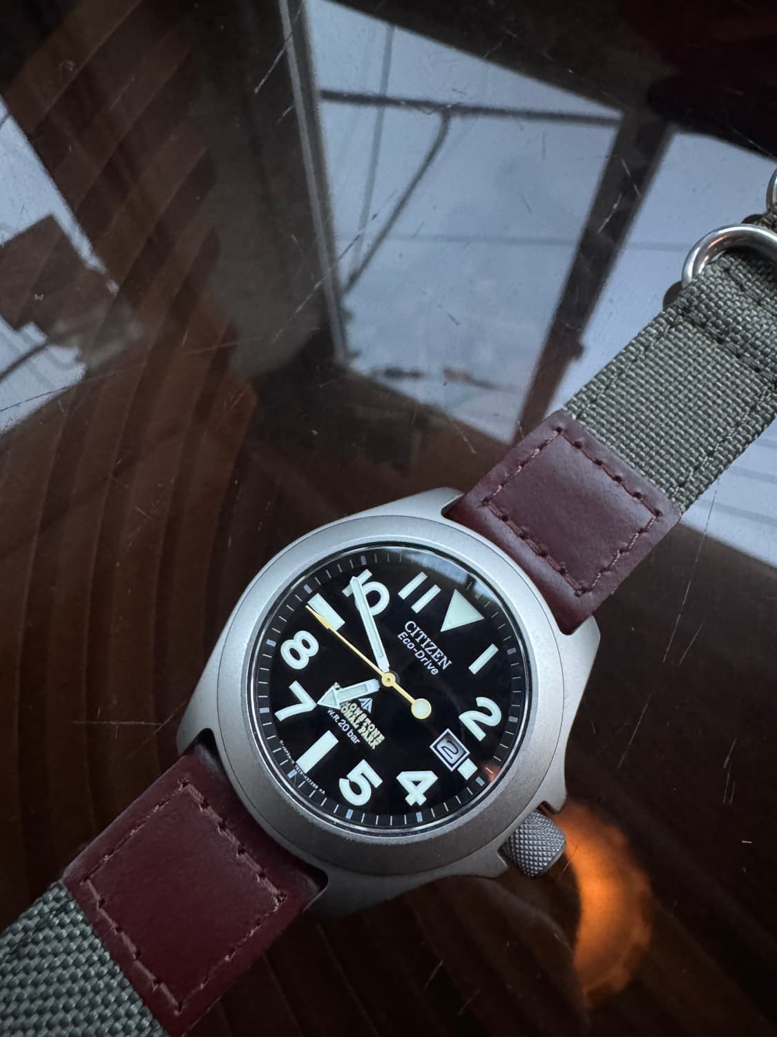 시티즌 프로마스터 터프 옐로스톤 국립공원 한정판 팝니다. 상품이미지1