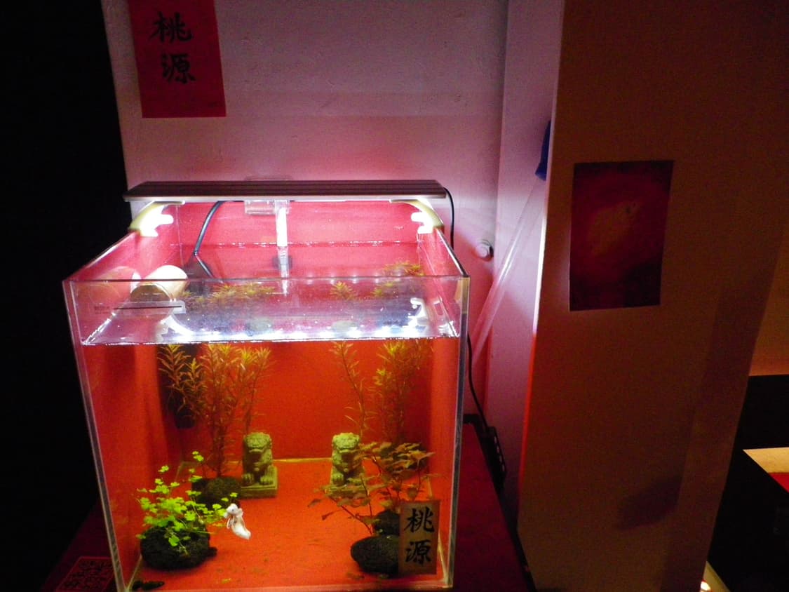 Pentax Optio P80 디카 상품이미지2