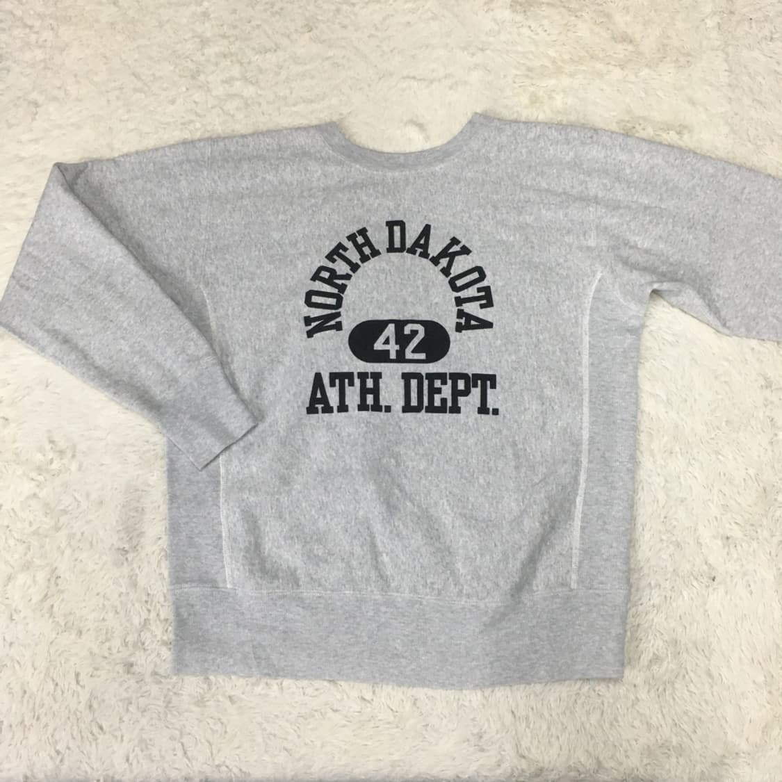 챔피온 리버스위브 블루택 맨투맨 CC31 상품이미지1